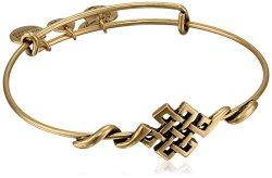 Alex and Ani “Spiritual Armor” Endless Knot